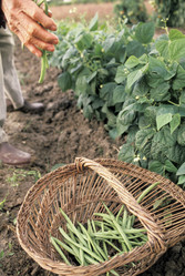 Similar image 8074635