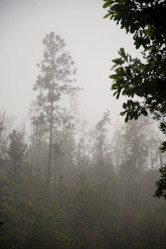 Similar image 8074644