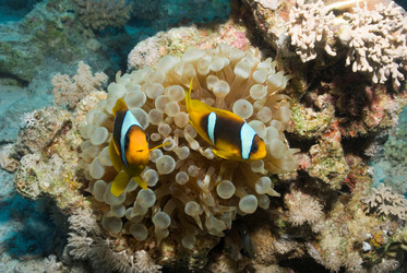 Similar image 8074646