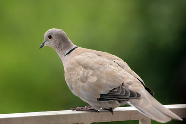 Similar image 8074673