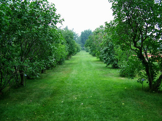 Similar image 8074676