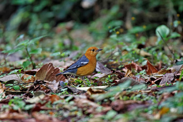 Similar image 8074683