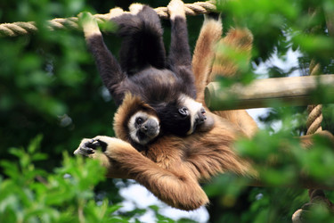 Similar image 8074684