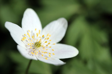 Similar image 8074685