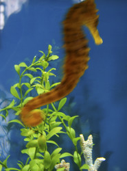 Similar image 8074688