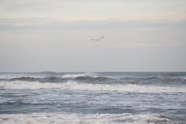 Similar image 8074724