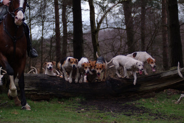 Similar image 8074726