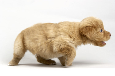 Similar image 8074750