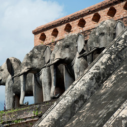 Similar image 8074761