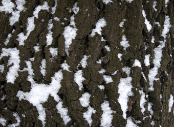 Similar image 8074765