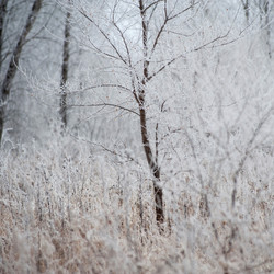 Similar image 8074766