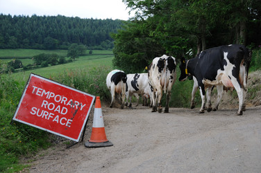 Similar image 8074780