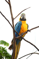 Similar image 8074784