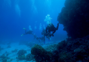 Similar image 8074788