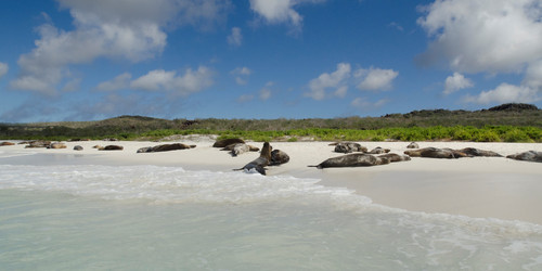 Similar image 8074790