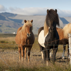 Similar image 8074796