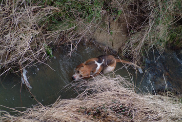 Similar image 8074799