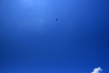 Similar image 8074807