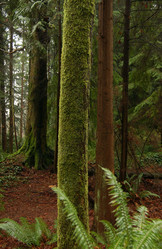 Similar image 8074808