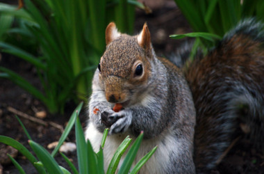 Similar image 8074815