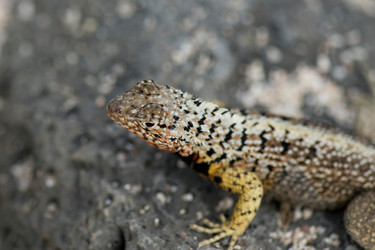 Similar image 8074822