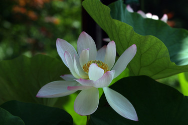 Similar image 8074827