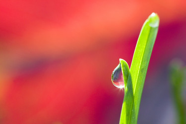 Similar image 8074845