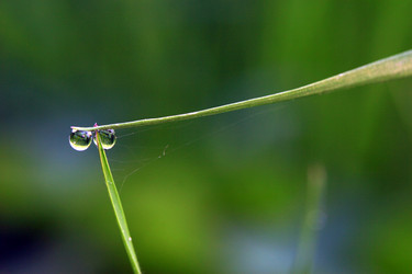 Similar image 8074854