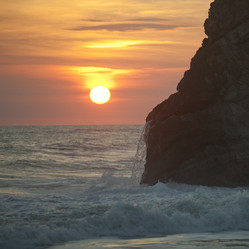 Similar image 8074858