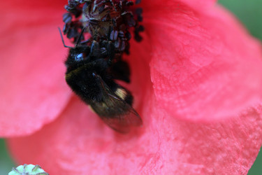 Similar image 8074867