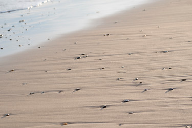 Similar image 8074868