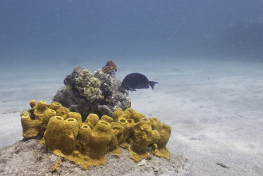 Similar image 8074870