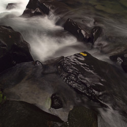 Similar image 8074874