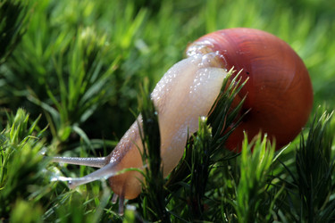 Similar image 8074883