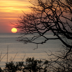 Similar image 8074887