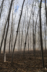 Similar image 8074891