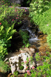 Similar image 8074906