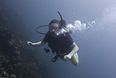 Similar image 8074905