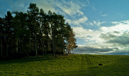 Similar image 8074907