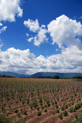 Similar image 8074913