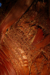 Similar image 8074914