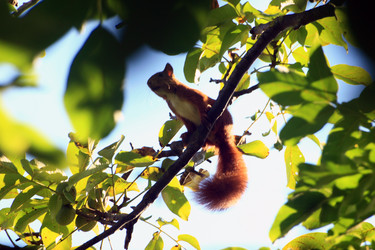 Similar image 8074917