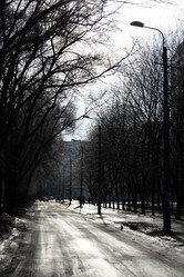 Similar image 8074928