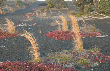 Similar image 8074940