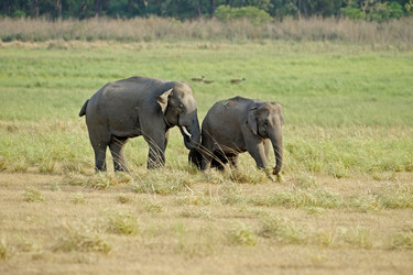 Similar image 8074948