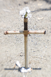 Similar image 8074956