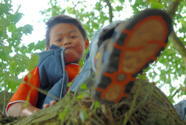 Similar image 8074963