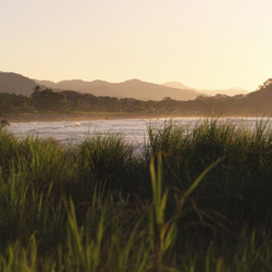 Similar image 8074964