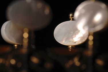 Similar image 8074966