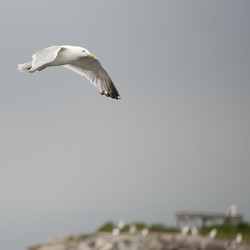 Similar image 8074967